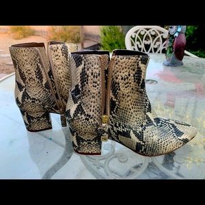 NWT Beautiful snake 🐍 print Cole Haan  81/2 booties